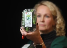 Latvijas siltumnīcu gurķi un tomāti arī ziemā