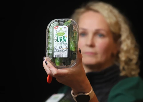 “Mārupes siltumnīcas” saimnieko 6,5 hektāru platībā.