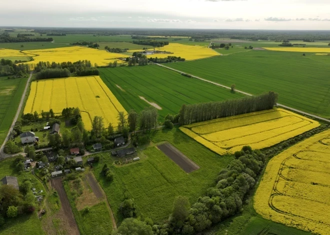 Lauksaimniecībā izmantojamās zemes (LIZ) noma – tirgus, kas mainās 2026 gadā