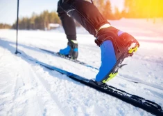 Россияне побеждают санкции: представители РФ вернутся в еще один вид спорта