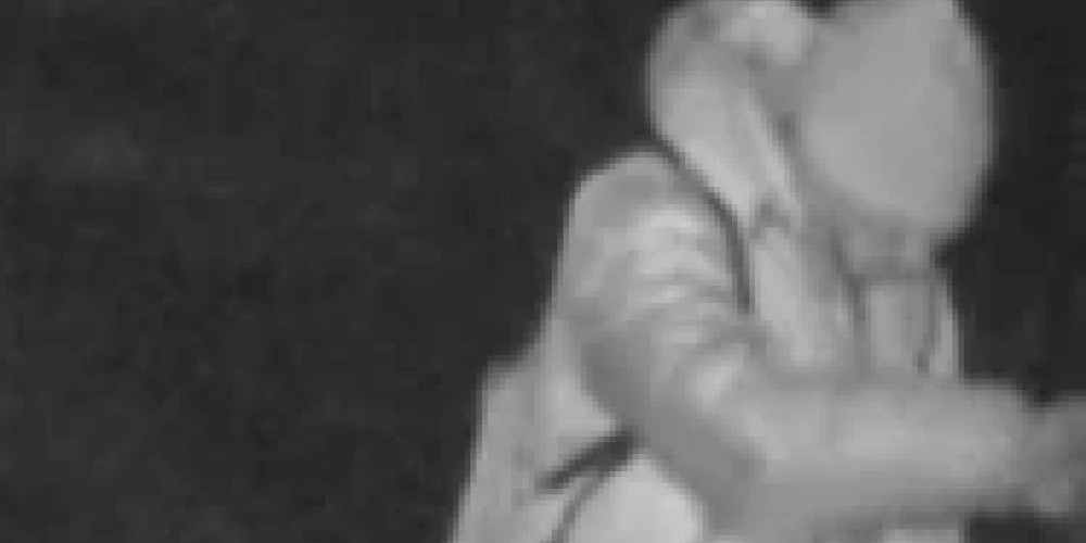 Noskaidrojamā persona (foto: Valsts policija)
