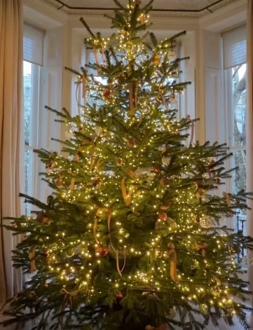 Bekhemu ģimenes Ziemassvētku eglīte.