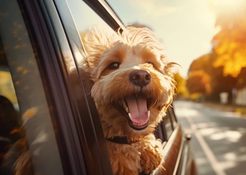 Иллюстративное фото.