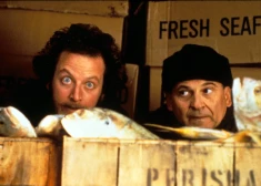 “Slapjais bandīts” Daniels Stērns skaidro, kāpēc nepiedalīsies “Viens pats mājās” filmas jubilejas pasākumā