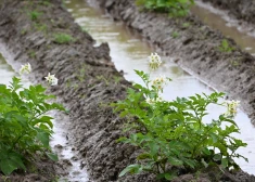 Arī lauksaimniekiem svarīga ir apdrošināšana