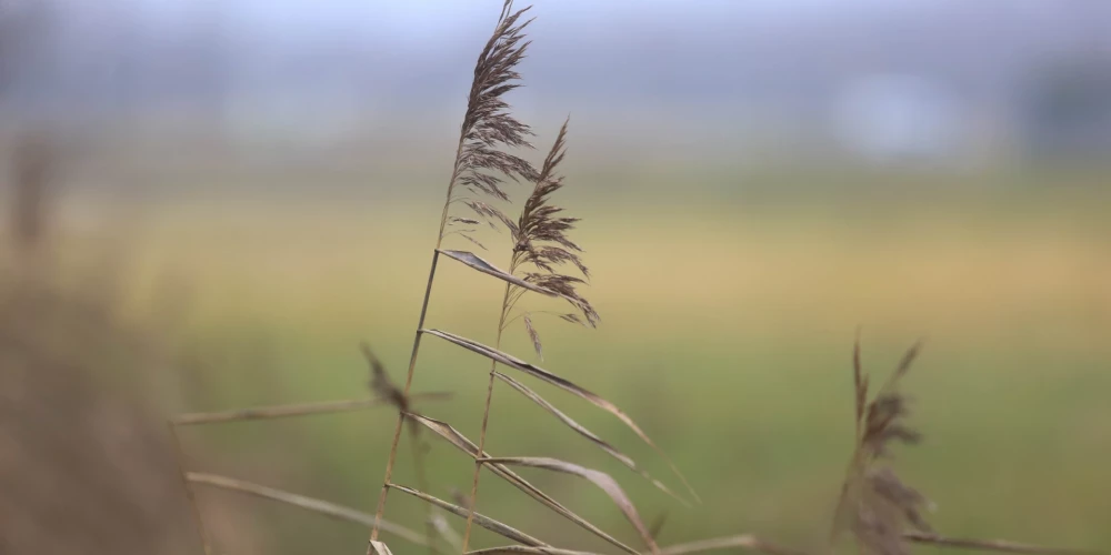 Иллюстративное фото.