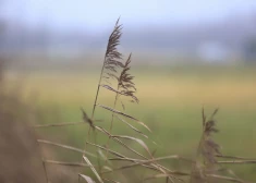 В прошедшем ноябре средняя температура превысила норму на 1,2 градуса