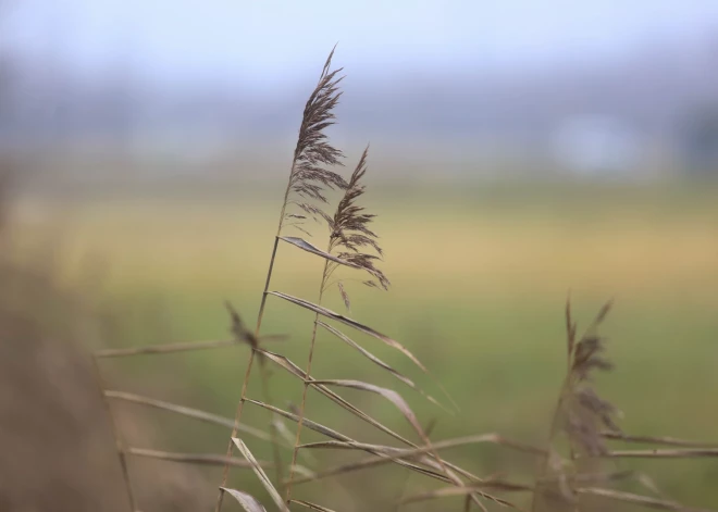 В прошедшем ноябре средняя температура превысила норму на 1,2 градуса