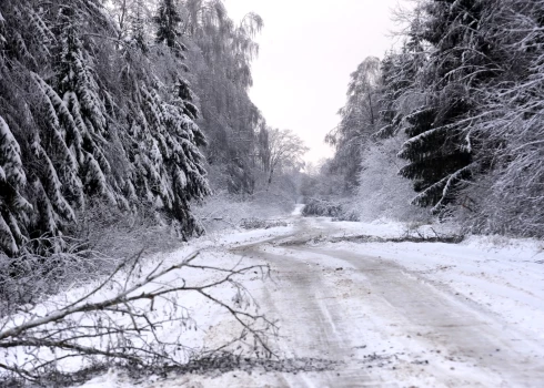 Ilustratīvs attēls