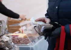 Publiski izskan, ka algas Latvijā aug. Kāpēc tad rodas sajūta, ka naudas kļūst arvien mazāk?