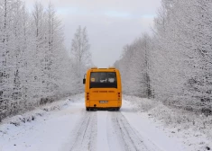Автотранспортная дирекция вложит 3 млн евро в камеры для подсчета собственных пассажиров в регионах