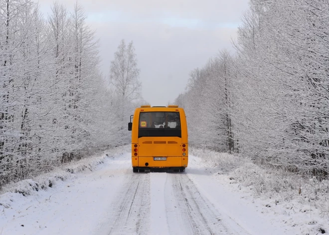 Автотранспортная дирекция вложит 3 млн евро в камеры для подсчета собственных пассажиров в регионах