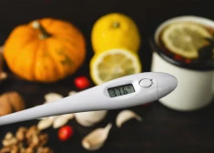 SPKC: saslimstība ar gripu strauji palielinās