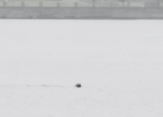 В четверг будет пасмурно, местами возможны осадки