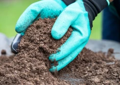 Dabas resursu nodokļa likmi kūdrai no 2027. gada palielinās piecas reizes