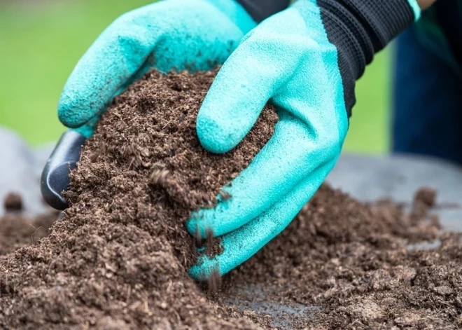 С 2027 года налог на торф вырастет аж в пять раз. Какие еще изменения ожидаются?