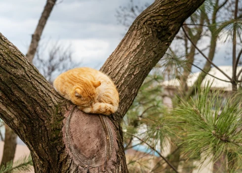 / Ilustratīvs attēls/