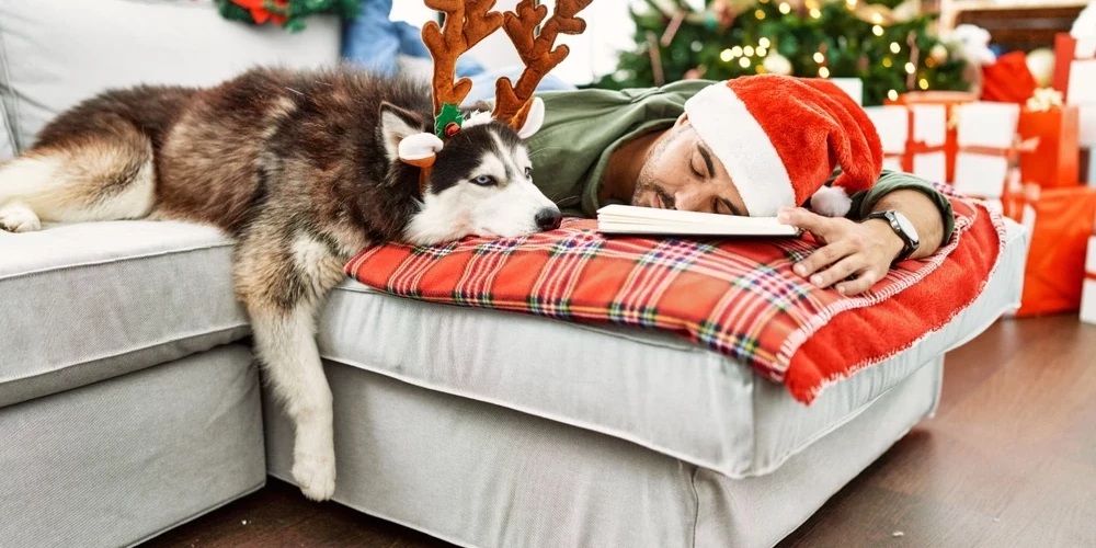 Зимой хочется только спать и молчать.