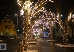 FOTO: Ogre pārtop gaismas pilsētā: iedegas egles, kariete un Zibšņu Ozols