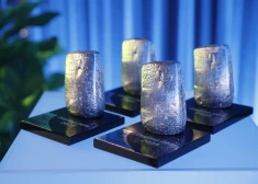 Mākslīgais intelekts un efektivitāte – paziņoti “Platīna peles 2025” laureāti