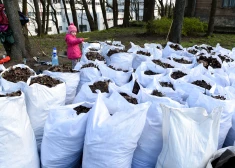 Mārupes novadā noslēgusies bioloģisko dārza atkritumu bezmaksas nodošana