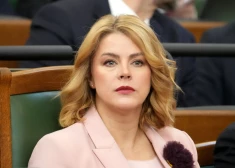 Силиня после принятия бюджета: "Коалиция демонстрирует решимость работать вместе"