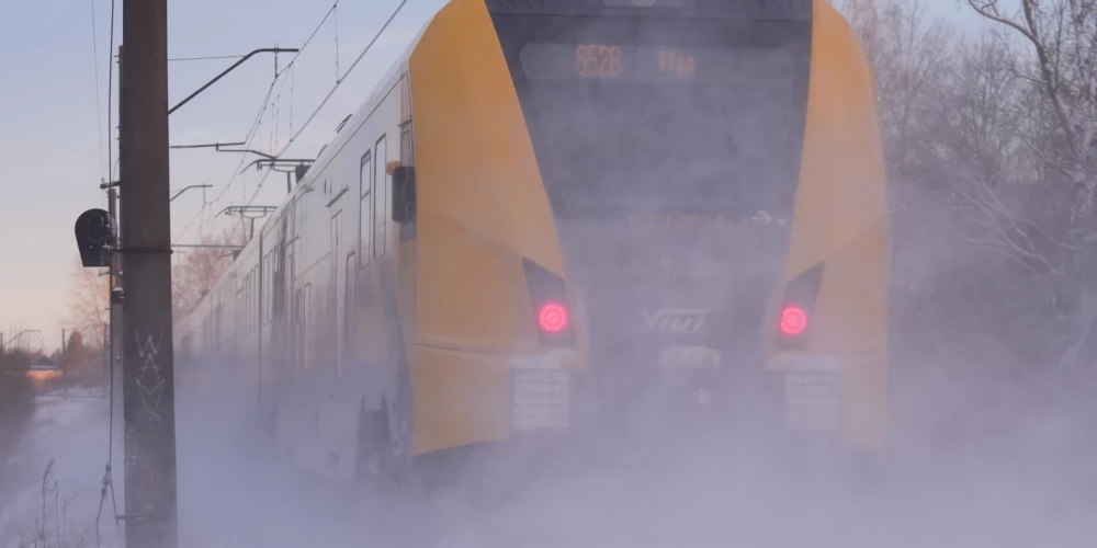 Elektrovilciens "Vivi".