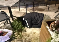 Talsos policisti trenkā kaķi, Ogrē likumsargi cīnās ar dūmiem, bet Valmierā ļaundari ar sāli nīdē rožvaboles: kriminālā province