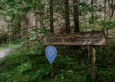 “Meža dēkainis”: noskaidrots, kuras dabas takas latvieši iecienījuši visvairāk