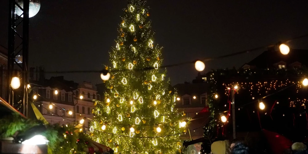 Елка на Домской площади.