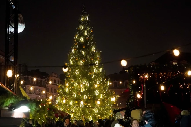 Елка на Домской площади.