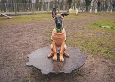 ФОТО: за 12 300 евро обновили первую в Риге площадку для выгула собак, в планах строительство новых