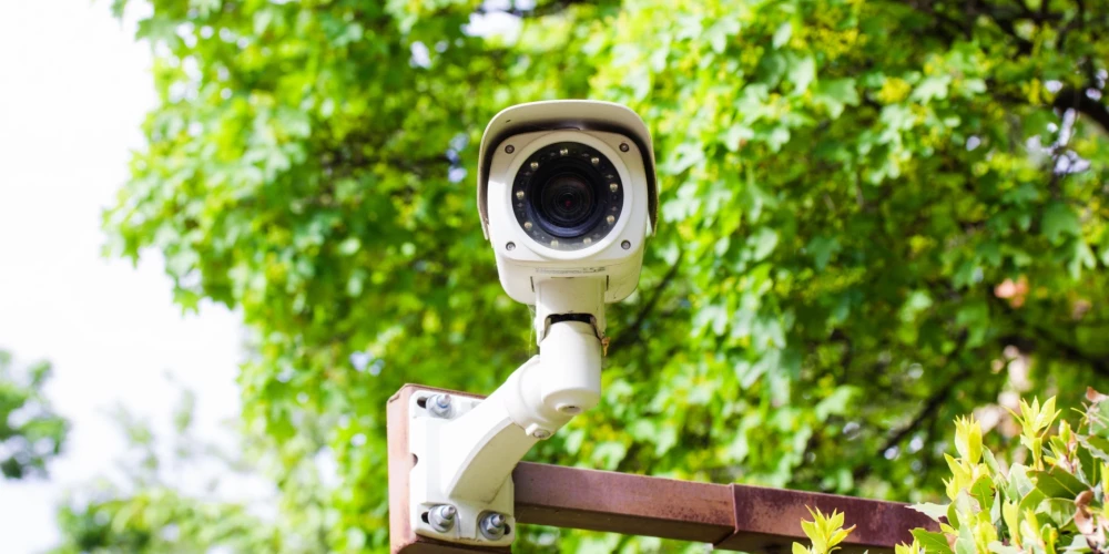 Иллюстративное фото.