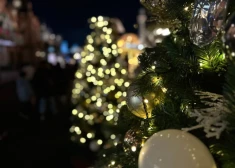 Salaspilī atklāts Ziemassvētku sajūtu dārzs “Brīnumu mežs” – labdarības pilotprojekts bērniem ar īpašām vajadzībām