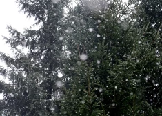 Jaunnedēļ Latvijā gaidāms slapjš un silts laiks