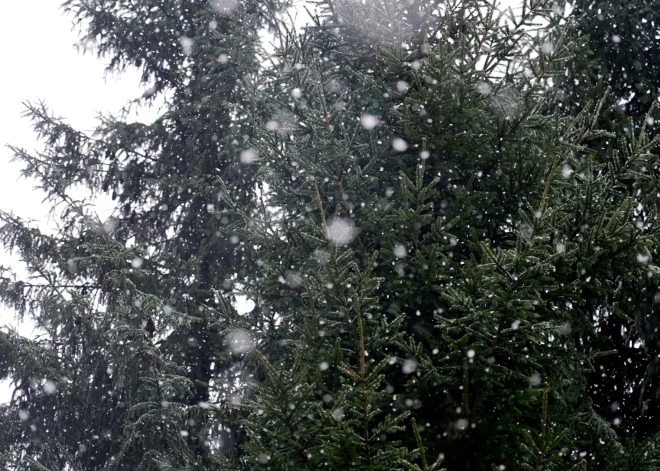 Jaunnedēļ Latvijā gaidāms slapjš un silts laiks