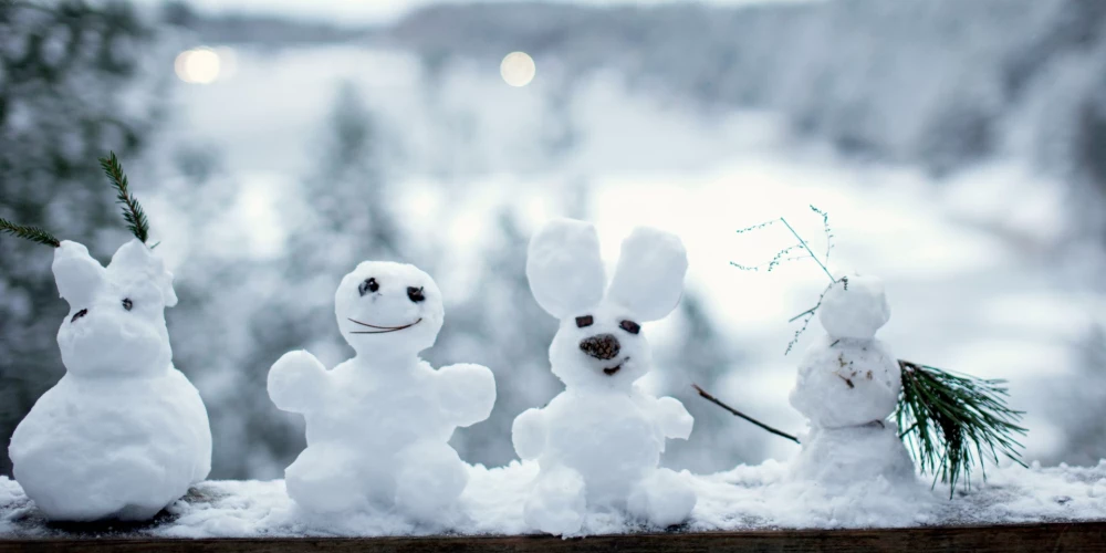 Dubkalnu karjers Ogres Zilajos kalnos.