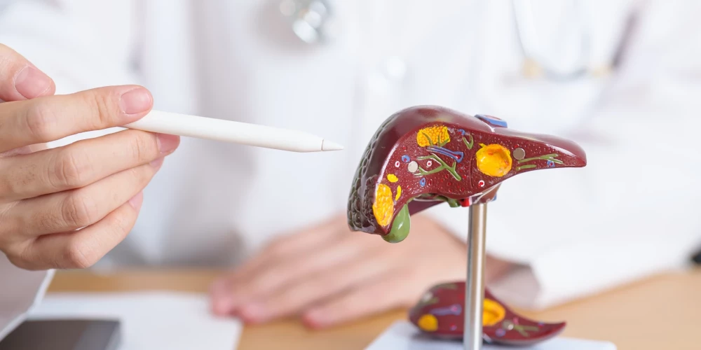 Смертность от алкогольной болезни печени в Латвии снова превысила 200 случаев.