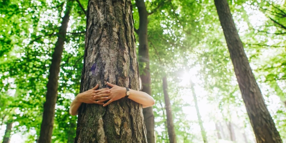 Жителей Латвии от природы не оторвать.