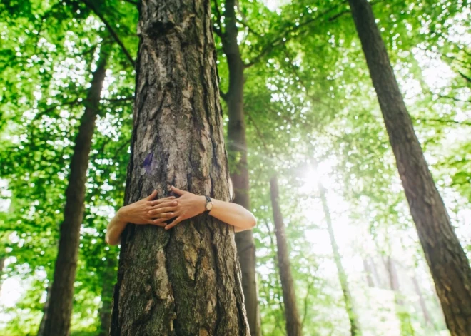 У жителей Латвии неожиданно обнаружена одна ярко выраженная особенность, которой нет у многих народов