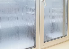 Сушка белья, горячий душ и суп на плите: бытовые привычки, которые кормят плесень