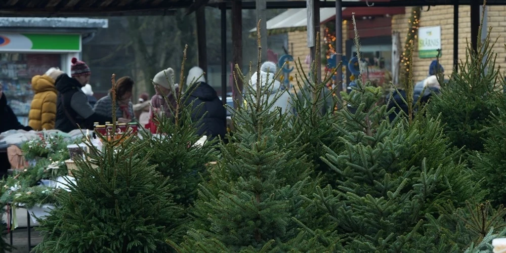 Иллюстративное фото.