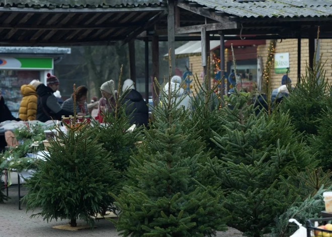 В латвийском городе напомнили о необычной льготе, которая предоставляется пенсионерам