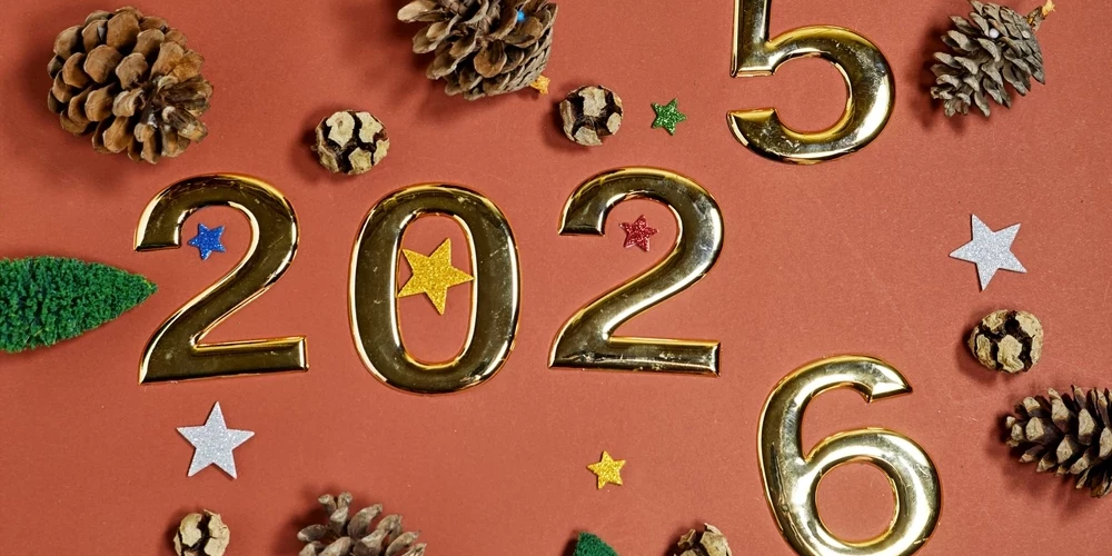 Новый год к нам мчится!