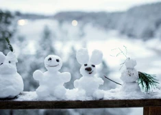 Будет ли Рождество в Латвии снежным? Прогноз наблюдателя за природой