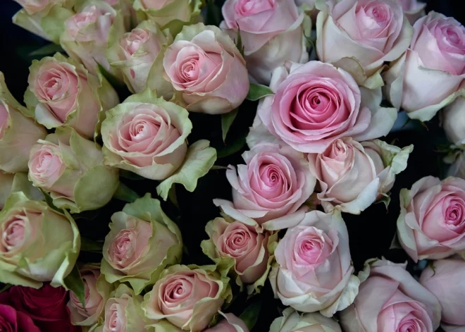 Šonedēļ populārākie vārdi - Vladimirs un Iveta; vispopulārākais bērnu vārds - Valdis