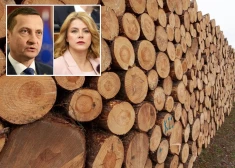 Kokrūpnieki atklātā vēstulē pauž atbalstu valdības lēmumam par LVM līgumu cenu korekciju