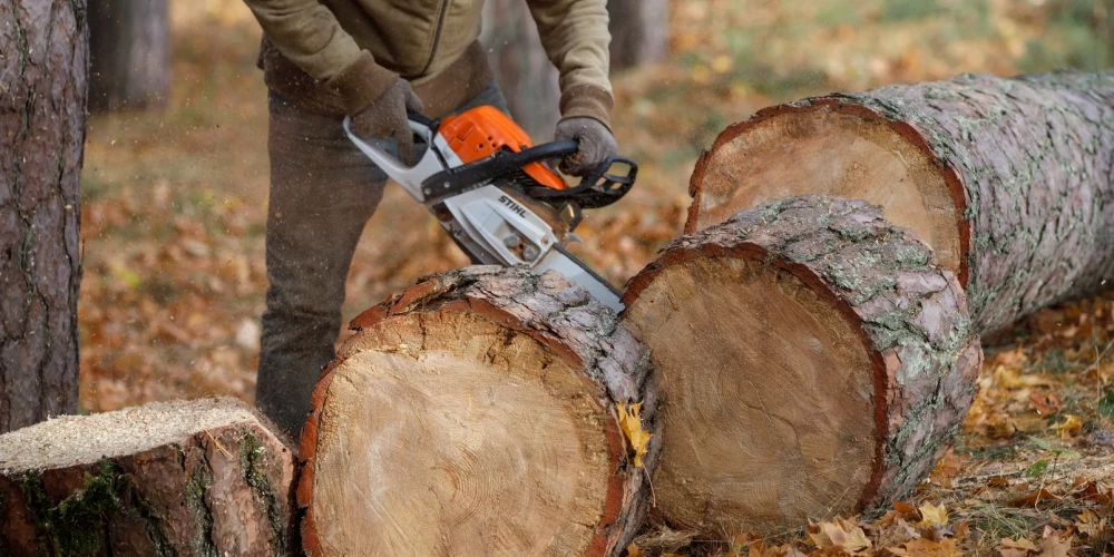 Иллюстративное фото.