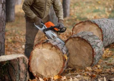 "Как можно так изнасиловать наш лес?" Житель Меллужи возмущен массовой вырубкой деревьев