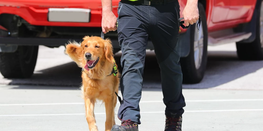 Иллюстративное фото.